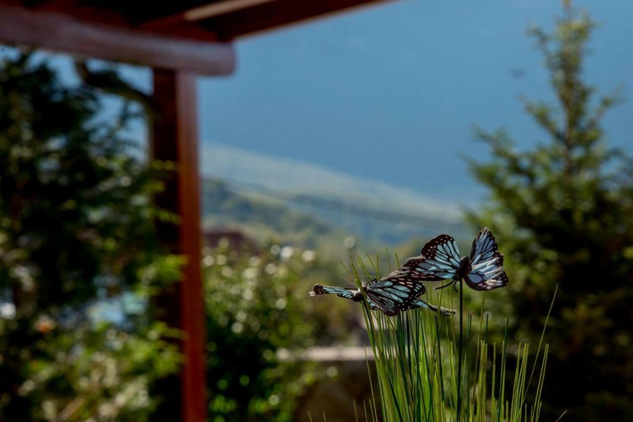 Villa Zvonimir Zagvozd Buitenkant foto